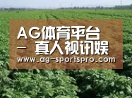 种植基地五