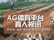 种植基地七(图1)