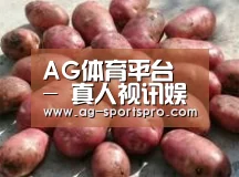 产品展示标题5