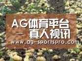 种植基地七