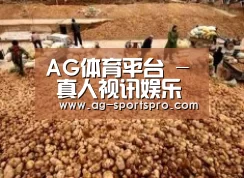 种植基地二