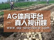 种植基地八