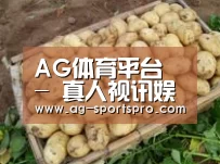 产品展示标题3