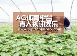 种植基地三