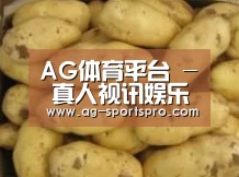 产品展示标题6