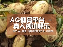 产品展示标题2
