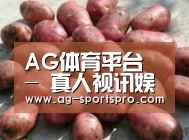 产品展示标题5(图1)