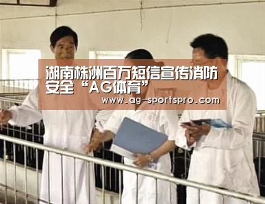 湖南株洲百万短信宣传消防安全“AG体育”(图3) AG赛事