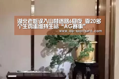 AG赛事