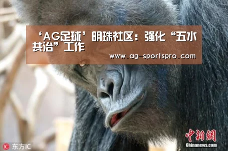 ‘AG足球’明珠社区:强化“五水共治”工作(图1) AG篮球